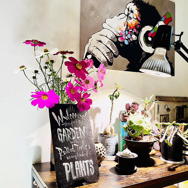 harumaruさんの実例写真