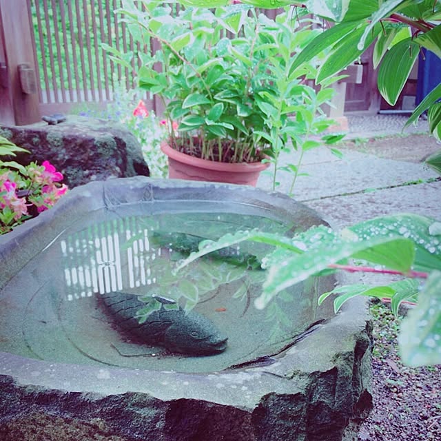 Yukoさんの実例写真