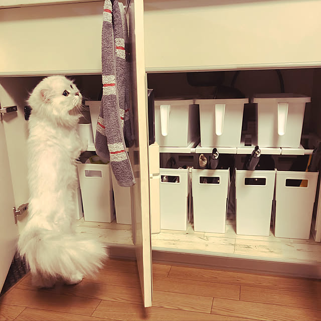 tomiさんの実例写真