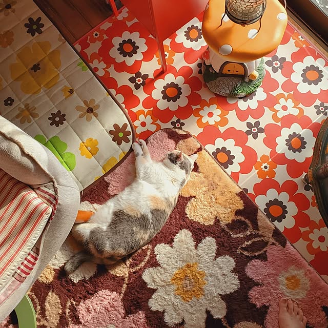 kumutanさんの実例写真