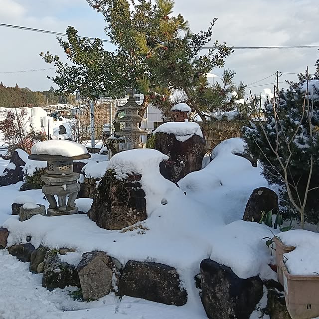 sumimarumiさんの実例写真