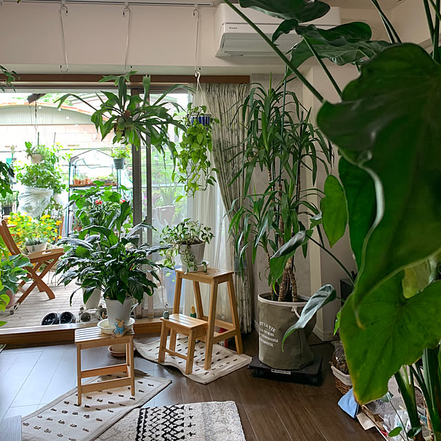 Aqettyさんの部屋