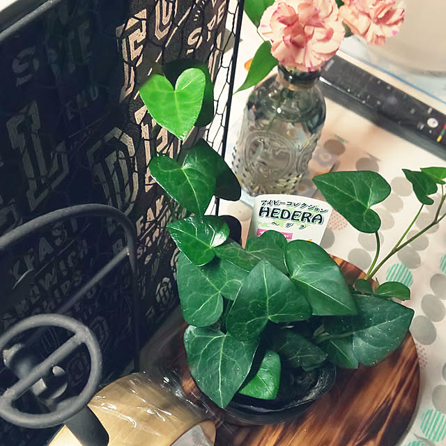 KOHAKUさんの実例写真