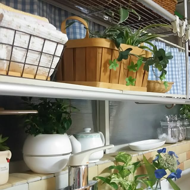 naopyiさんの実例写真