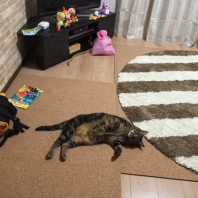 nyanpyouさんの実例写真