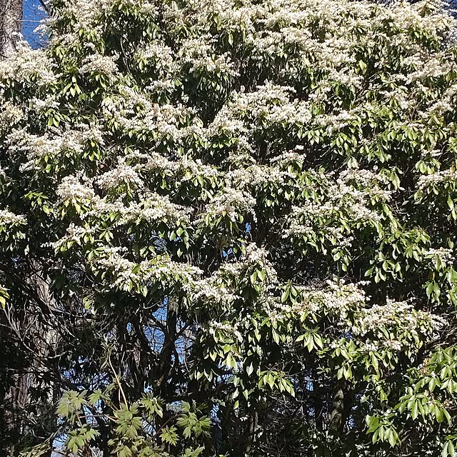 glassさんの実例写真