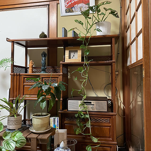 shin0719さんの実例写真