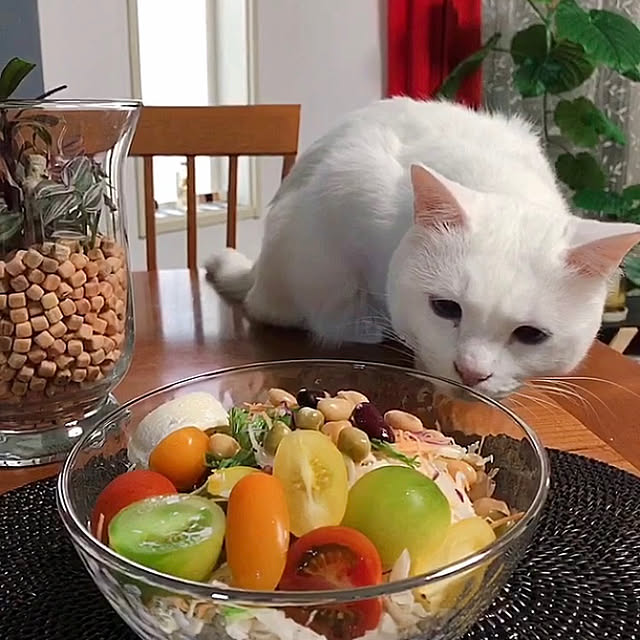 nyanko-beamさんの実例写真
