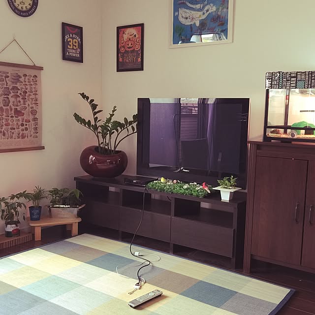 noraraさんの実例写真