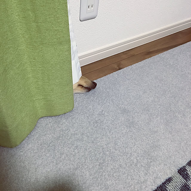 miro_n_chiさんの実例写真