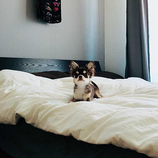 mariさんの実例写真