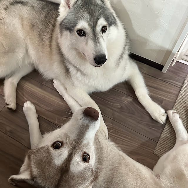 khさんの部屋