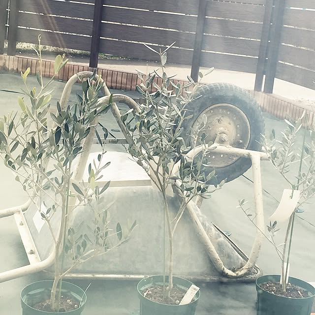 ...newhouseさんの実例写真