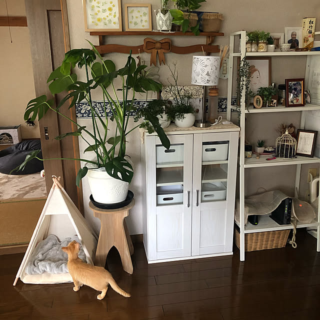 himetanさんの実例写真