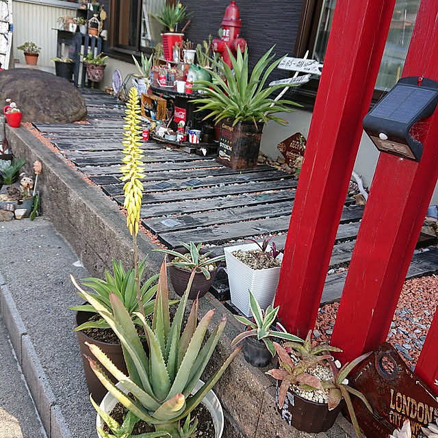 tomopiさんの実例写真