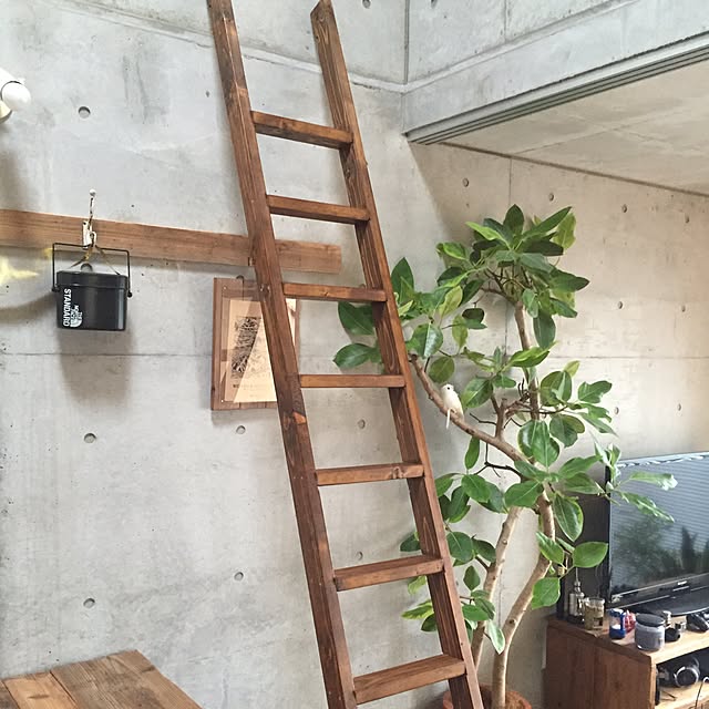 Shojiさんの実例写真