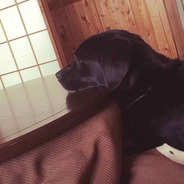 maimaiさんの実例写真