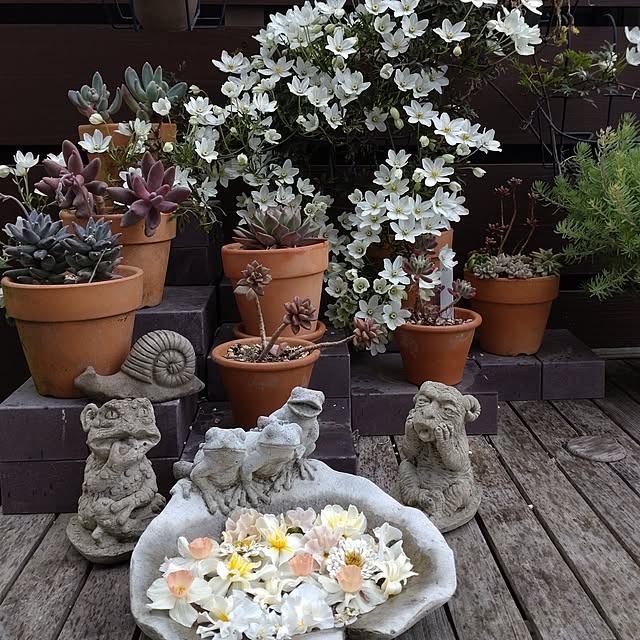figaroさんの実例写真