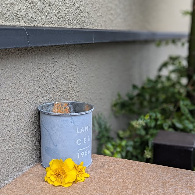 reeさんの実例写真