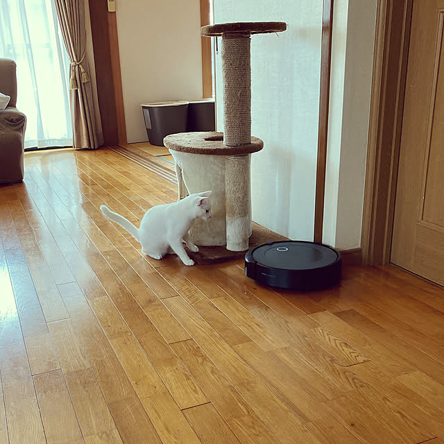 Mugiさんの実例写真