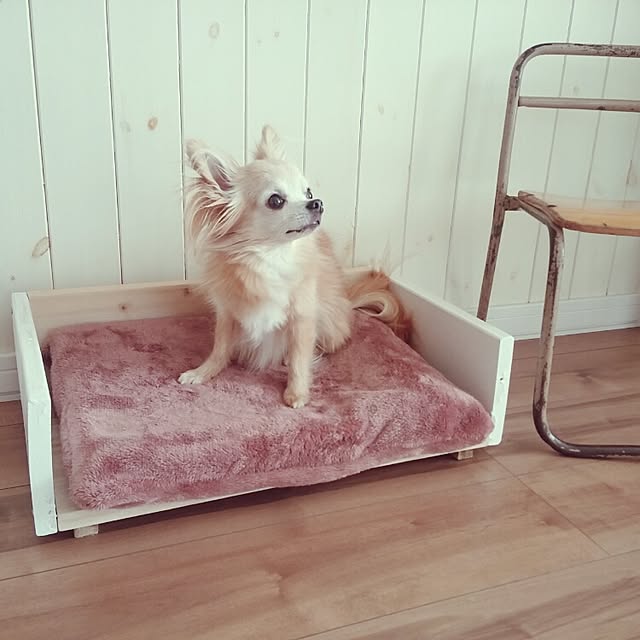 cotubuさんの実例写真