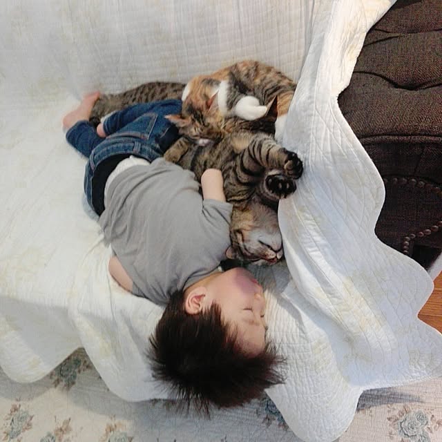 noraさんの実例写真
