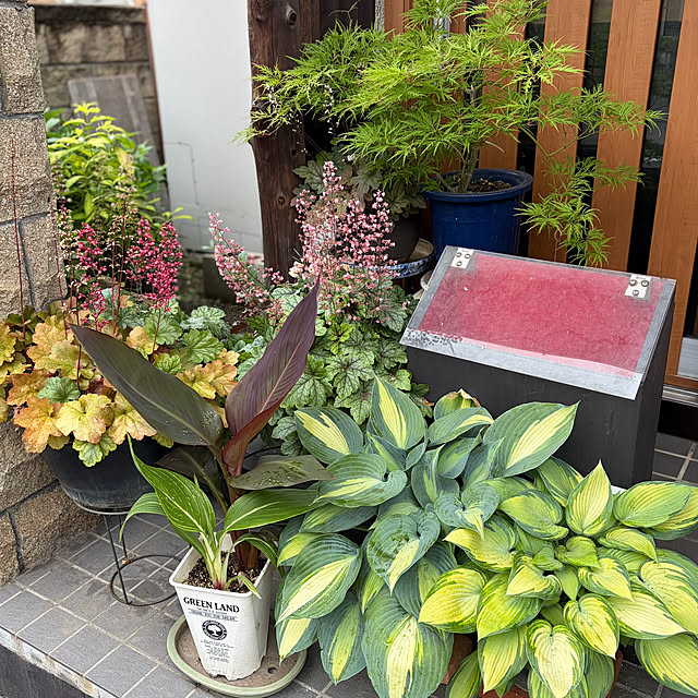 buchiさんの実例写真