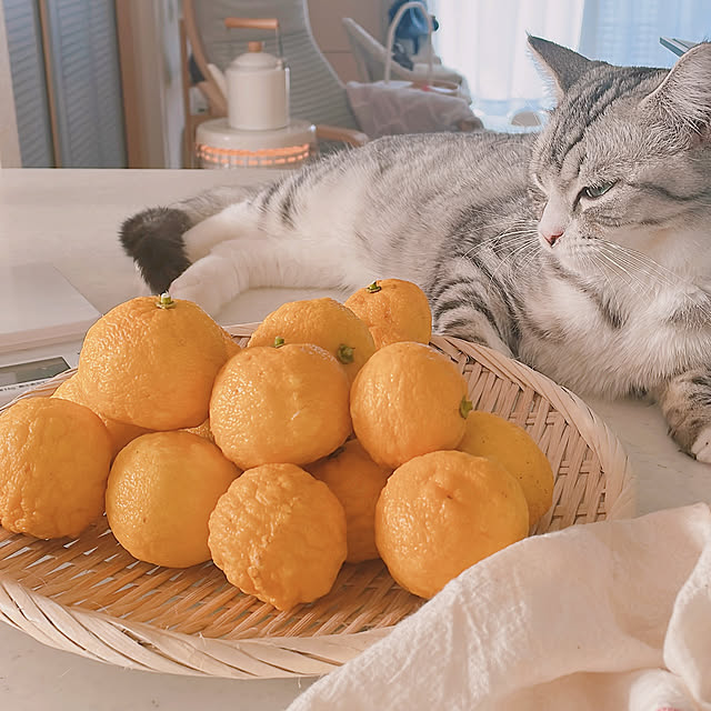 milkcocoaさんの実例写真