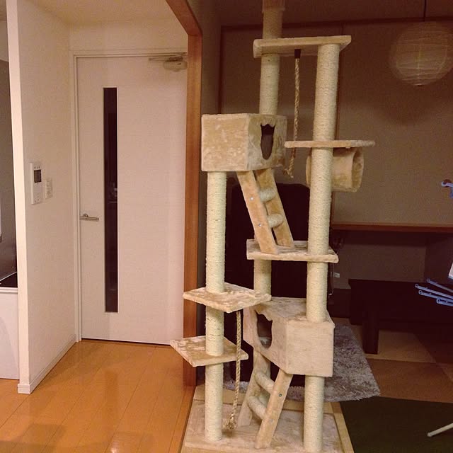 Mikaさんの実例写真