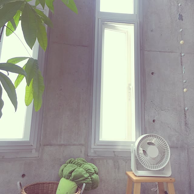 リビング/観葉植物/IKEA/無印良品/DIYのインテリア実例 - 2015-07-11 14:20:30