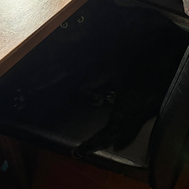 ayuyuさんの実例写真