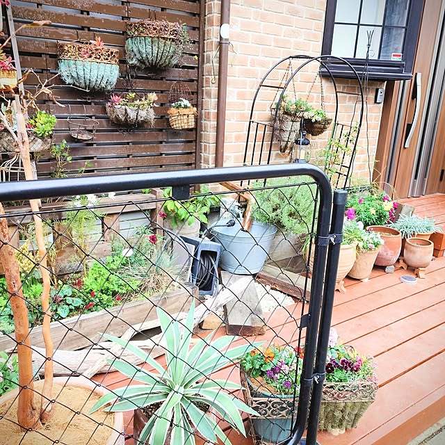 sa-chiさんの部屋