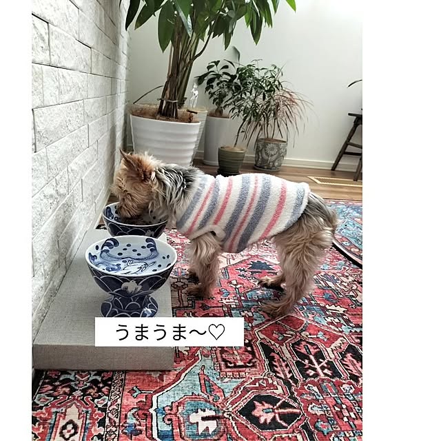 coco0.84.さんの部屋