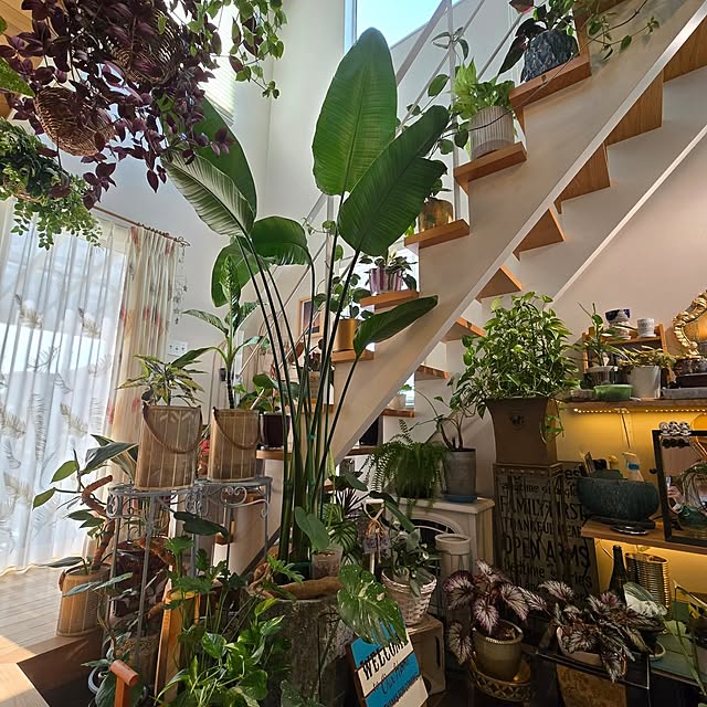 nonbiri_house_さんの実例写真