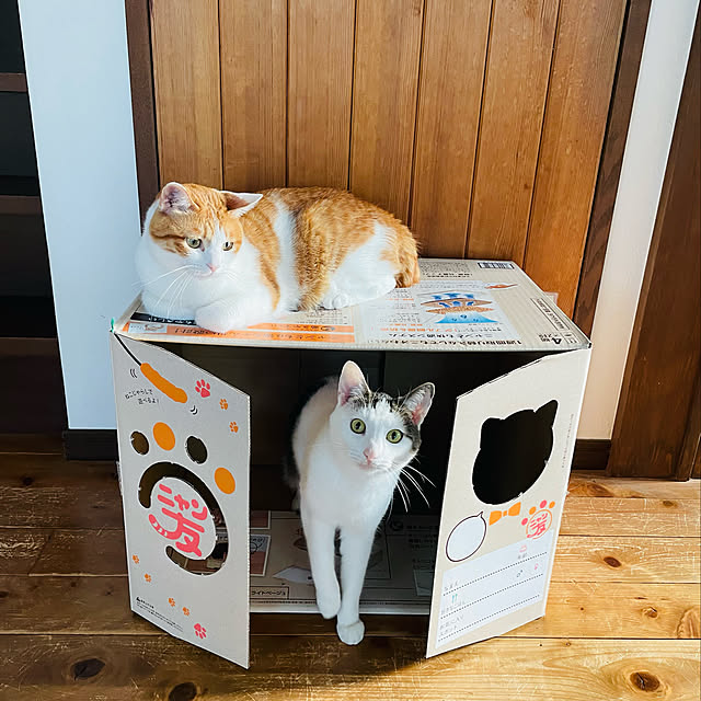 meさんの実例写真
