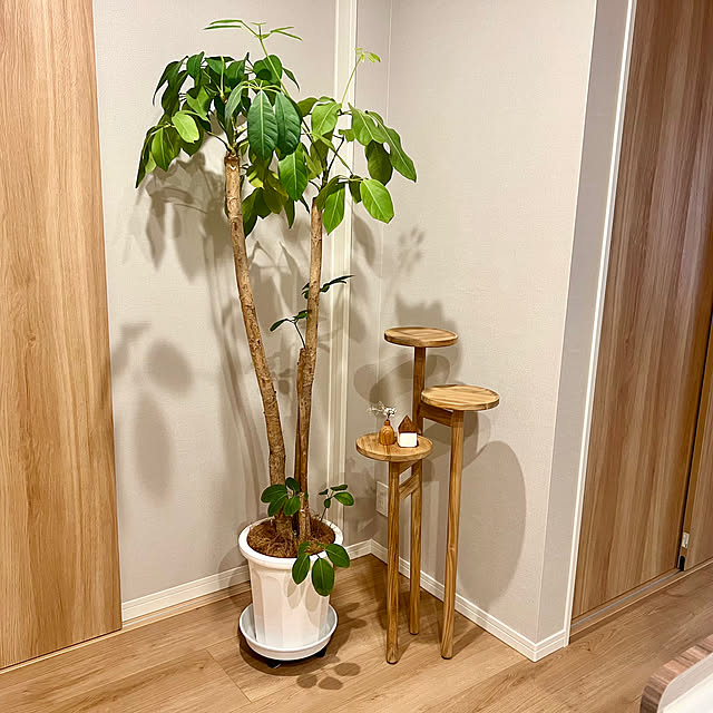 mocoさんの部屋