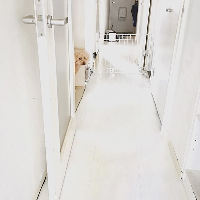 hiro-hvさんの実例写真