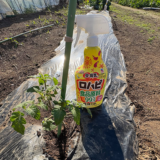 RYOさんの部屋
