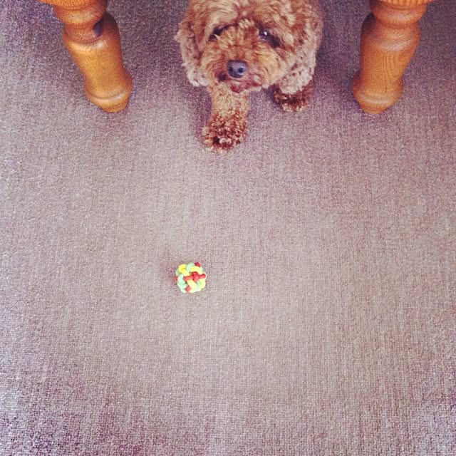 sozuさんの実例写真