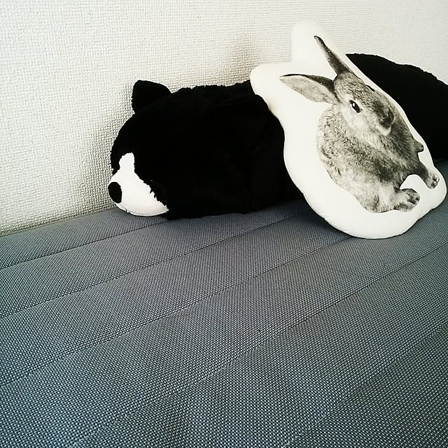 Himariさんの実例写真