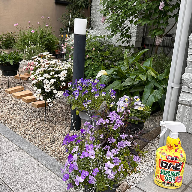 cocoさんの実例写真