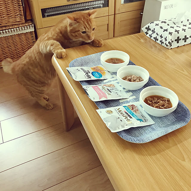youkoさんの実例写真