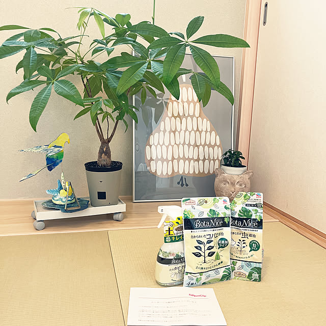 ninさんの実例写真
