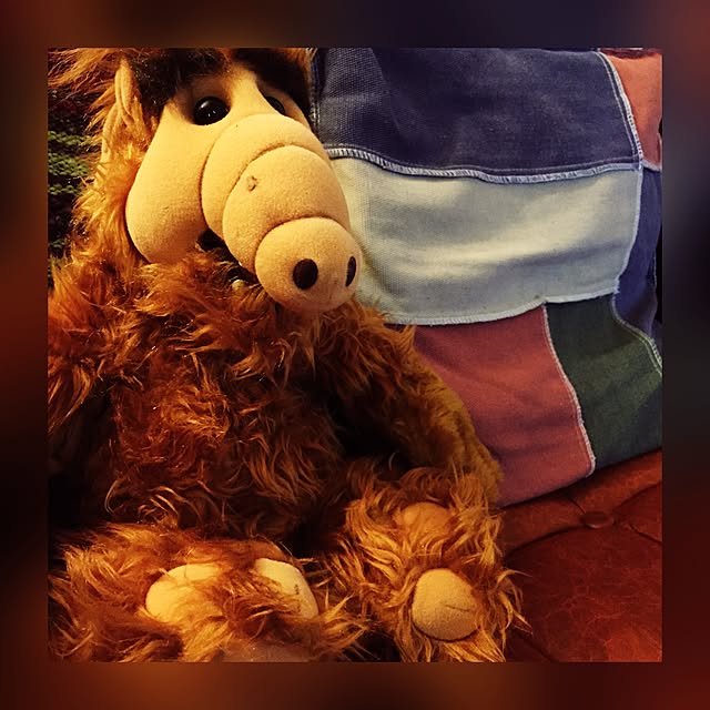Kenichiさんの実例写真