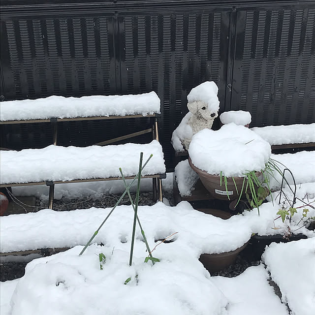 EMIKOさんの実例写真