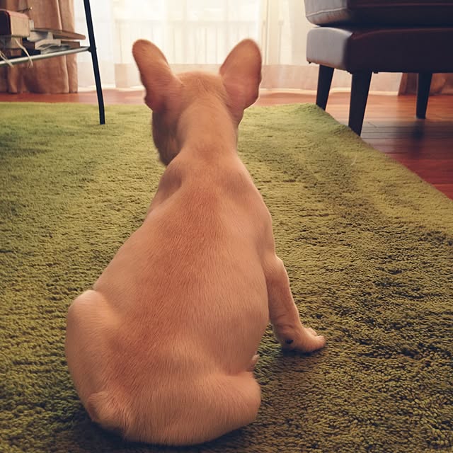 oldwoodさんの実例写真