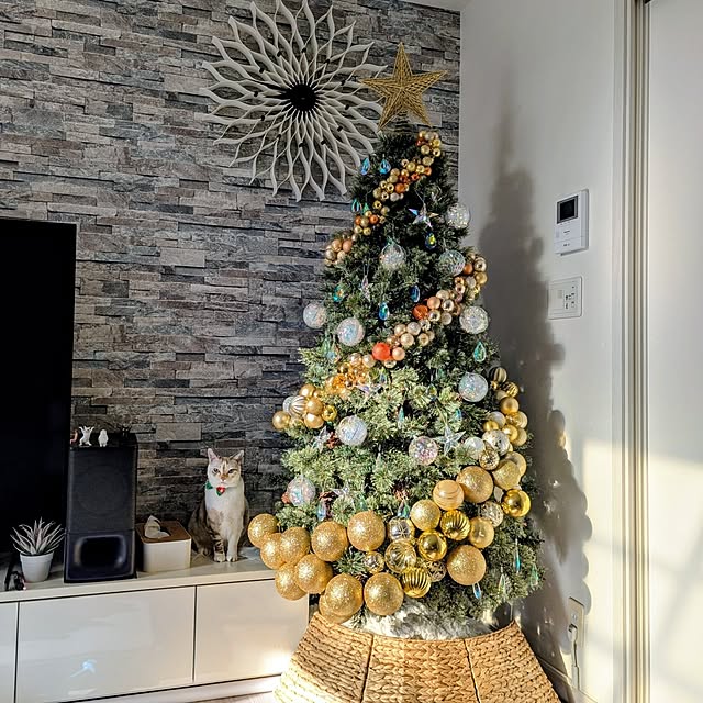 kohakuさんの実例写真