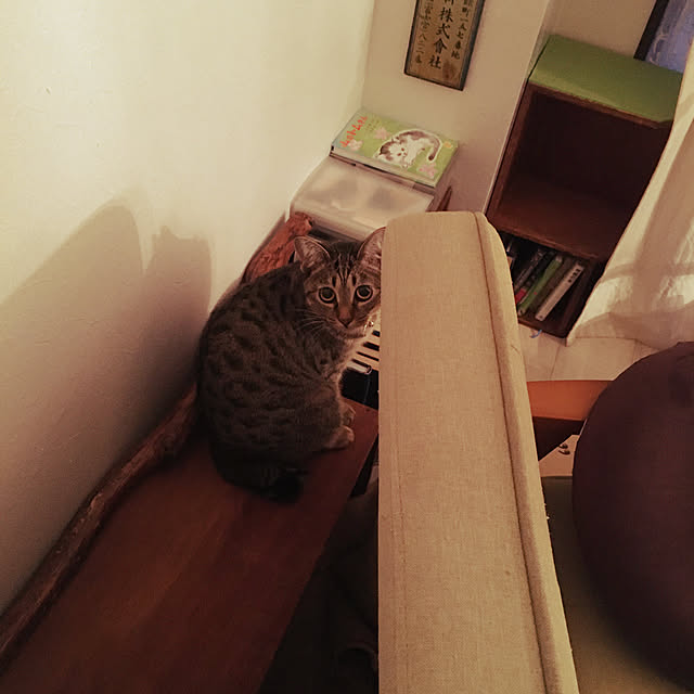 Mさんの実例写真