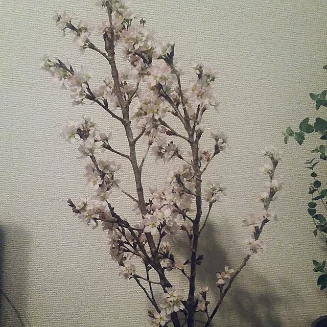 pinkoさんの実例写真