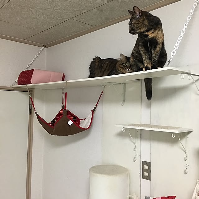 nekoyonさんの実例写真